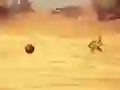 Monkey Shooting – kostenloses Online-Spiel
