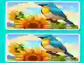 Spot the Difference The Garden – kostenloses Online-Spiel
