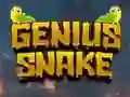 Genius Snake – kostenloses Online-Spiel