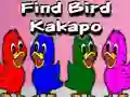 Find Bird Kakapo – kostenloses Online-Spiel