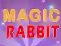 Magic Rabbit – kostenloses Online-Spiel