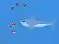 Oceans Shees – kostenloses Online-Spiel