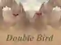 Double Bird – kostenloses Online-Spiel