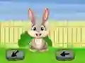 Springtime Escape – kostenloses Online-Spiel