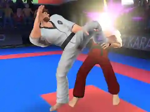 Karate Fighter – kostenloses Online-Spiel