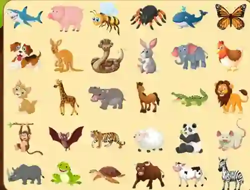 Discover Animals – kostenloses Online-Spiel