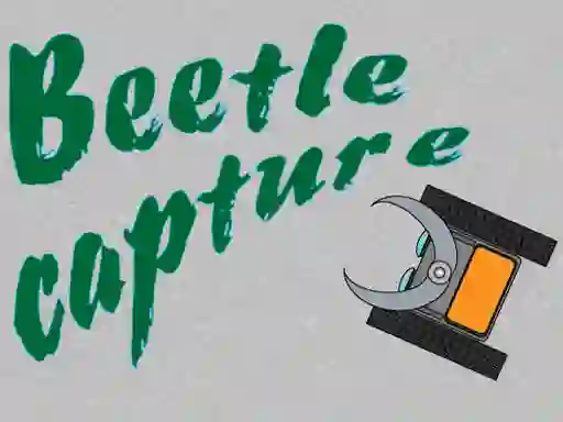 Beetle Capture – kostenloses Online-Spiel