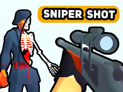 Sniper Shot: Bullet Time – kostenloses Online-Spiel