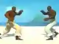 Capoeira fighter – kostenloses Online-Spiel