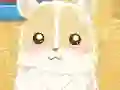 Hamster Love – kostenloses Online-Spiel