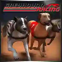 Greyhound Racing – kostenloses Online-Spiel