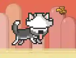 Mr Jump Husky – kostenloses Online-Spiel