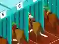Derby racing – kostenloses Online-Spiel