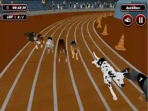 Crazyl Dog Racing Fever – kostenloses Online-Spiel