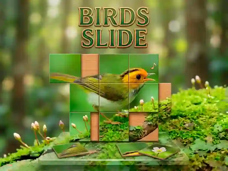 Birds Slide – kostenloses Online-Spiel