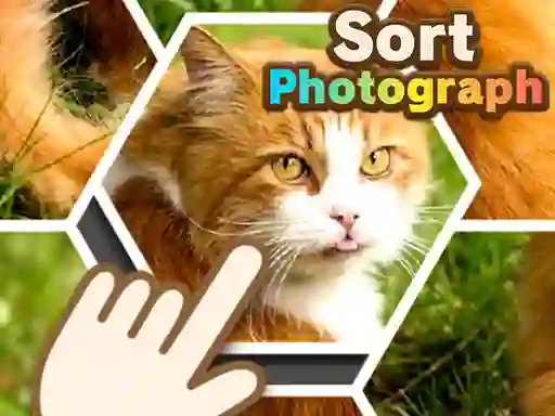Sort Photograph – kostenloses Online-Spiel