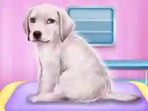 Labrador at the doctor salon – kostenloses Online-Spiel