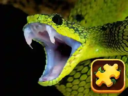 Snake Puzzle Challenge – kostenloses Online-Spiel