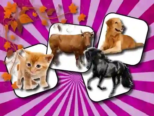 Domestic Animal Memory Challenge – kostenloses Online-Spiel
