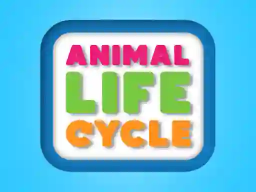 Animal Life Cycle – kostenloses Online-Spiel