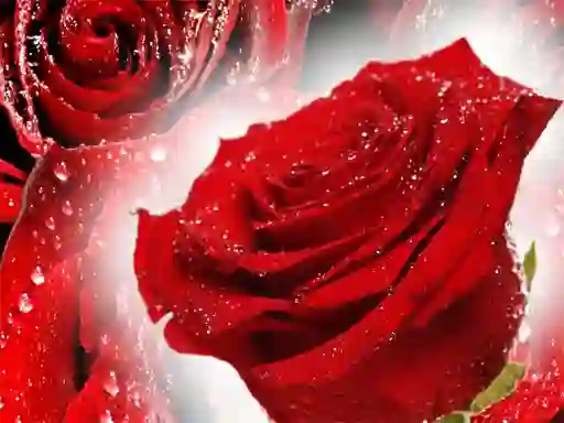 Red Roses – kostenloses Online-Spiel
