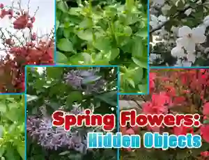 Spring Flowers: Hidden Objects – kostenloses Online-Spiel