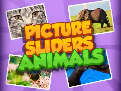 Picture Slider Animals – kostenloses Online-Spiel