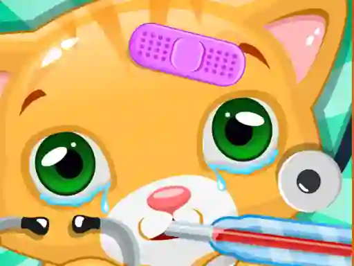 Little Cat Doctor – kostenloses Online-Spiel