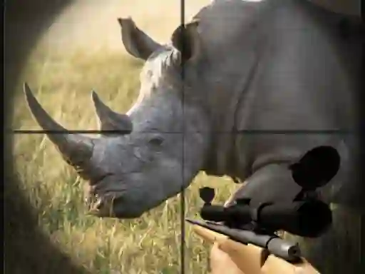 Wild Rhino Hunter – kostenloses Online-Spiel
