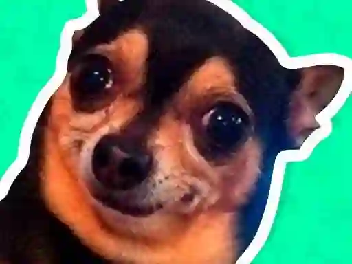What meme dog are you ? – kostenloses Online-Spiel