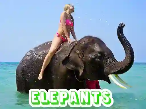 Elephants Puzzle – kostenloses Online-Spiel