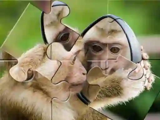 Chimpanzee Jigsaw – kostenloses Online-Spiel