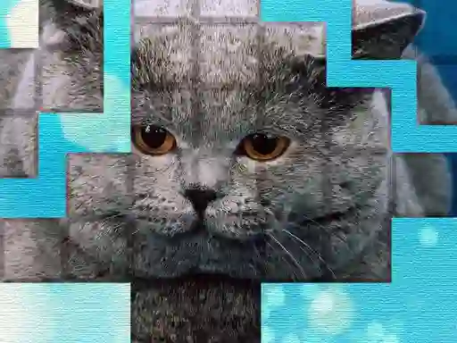 PicPu Cat – kostenloses Online-Spiel
