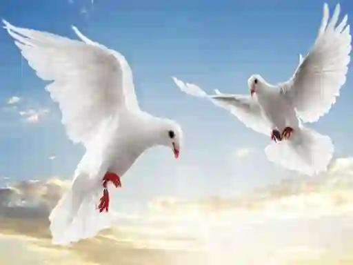 Flying Birds – kostenloses Online-Spiel