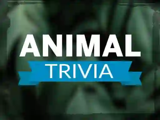 Animal Trivia – kostenloses Online-Spiel