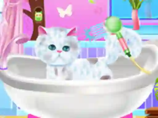 Excellent Pet Groomer – kostenloses Online-Spiel