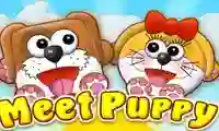 Meet Puppy – kostenloses Online-Spiel