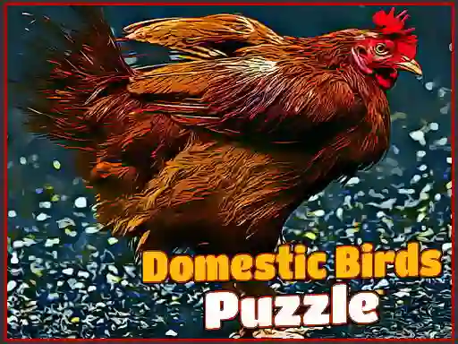 Domestic Birds Puzzle – kostenloses Online-Spiel