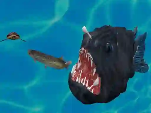 Fish 3d – kostenloses Online-Spiel