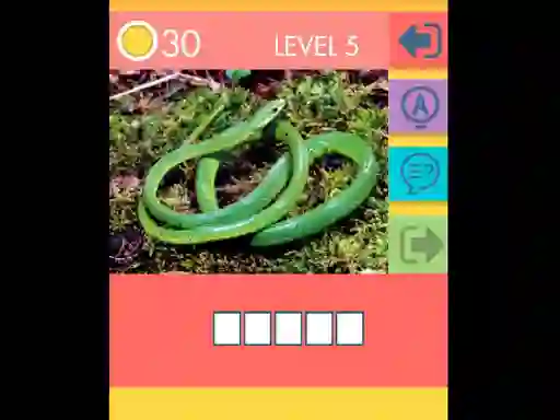 15 Picture Quiz – kostenloses Online-Spiel