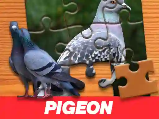 Pigeon Jigsaw Puzzle – kostenloses Online-Spiel