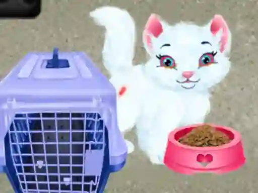 Baby Taylor Pet Care – kostenloses Online-Spiel