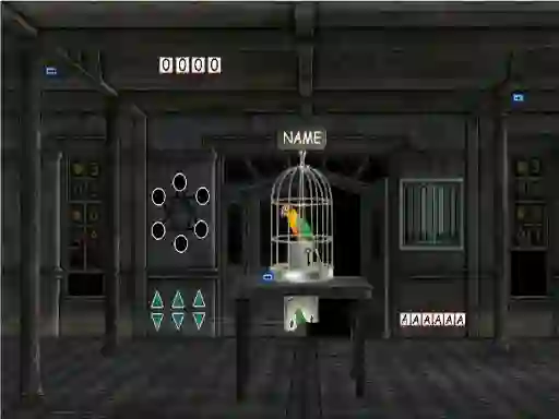 Parrots Escape – kostenloses Online-Spiel