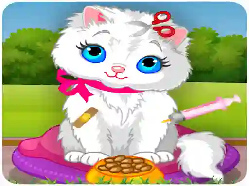 Vet Cat Clinic – kostenloses Online-Spiel