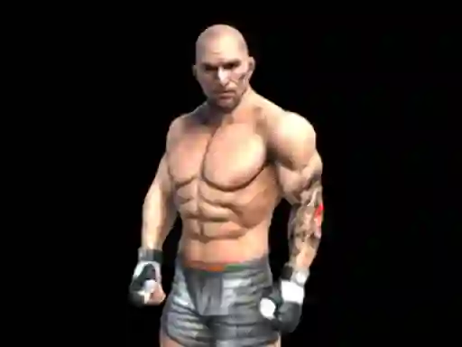 Fight Arena Online – kostenloses Online-Spiel