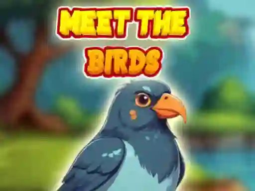 Meet The Birds – kostenloses Online-Spiel
