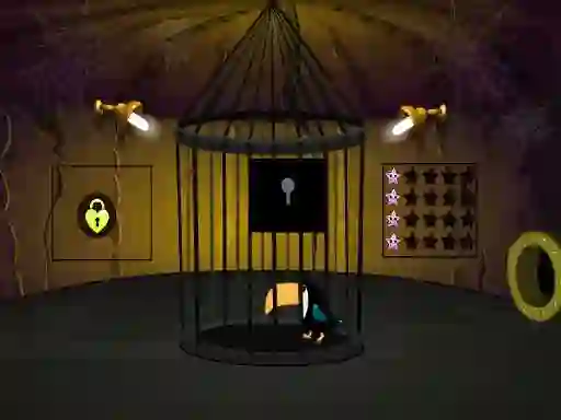 Toucan Rescue – kostenloses Online-Spiel