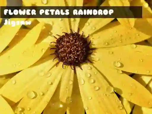 Flower Petals Raindrop Jigsaw – kostenloses Online-Spiel