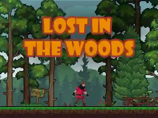 Lost in the Woods – kostenloses Online-Spiel