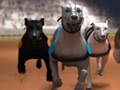 Spiel Windhundrennen  Online